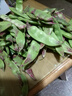 京鲜生山东新鲜油豆角3斤装新鲜蔬菜源头直发包邮 实拍图