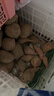 京鲜生山东烟薯25号蜜薯(已糖化) 净重4.5斤 精选中果150-400g 源头直发 实拍图