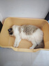疯狂的主人猫砂盆超大号半封闭式特大号猫厕所防外溅大黄油猫沙猫屎盆猫用品 实拍图