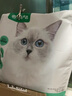 网易严选全价猫粮宠物主粮成幼猫三文鱼 深海鱼虾味1.8kg 【宠物金选】 实拍图