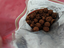 汪记山核桃 手剥山核桃零食坚果小核桃临安500g 实惠装 2025新货 椒盐口味 实拍图