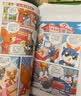 大中华寻宝系列 寻宝记神兽发电站18 地理科普知识百科漫画书6-14岁，儿童科普，漫画读物 课外读物暑假作业一升二暑假衔接小升初暑假衔接儿童年货节送礼 实拍图