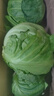 高原夏菜新鲜包菜卷心菜绿甘南菜甘蓝圆白菜时令蔬菜健康营养早餐 3斤净重农家好菜 实拍图