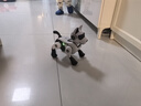 科学怪兽机器狗玩具遥控汽车Ai智能编程机器人男女孩儿童周岁宝宝生日礼物 实拍图