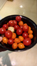 京喜加夏日阳光小番茄黄色迷恋圣女果即食水果小柿子现摘现发减肥 黄色圣女果三斤装 实拍图