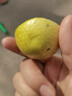 京喜加广西钦蜜9号黄金百香果青果发货当季新鲜大果黄皮果奶茶店水果 【小果1斤】 约8-12个 实拍图