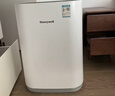 霍尼韦尔（Honeywell）空气净化器 除甲醛除菌除霾除过敏原 家用办公净化器除甲流病菌 KJ310F-P21W 实拍图