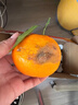 泰汇吃四川春见耙耙柑新鲜水果整箱孕妇橘子时令柑橘 净重4.5斤精选单果140g++ 实拍图