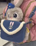 迪士尼（Disney）疯狂动物城朱迪斜挎包兔子玩偶包毛绒玩具娃娃女孩生日礼物女朋友 实拍图