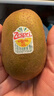 佳沛（zespri）意大利 阳光金奇异果12粒年货礼盒特大果单果约122-146g 猕猴桃 实拍图