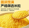 赤川黄小米5斤（内蒙古赤峰小米粥杂粮粥）蒸饭更软糯敖汉原产地 实拍图