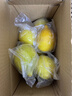 广东香水黄柠檬包邮新鲜水果柠檬精选皮薄奶茶店专用整箱 现货 柠檬带箱2斤单果70g+约10-18个 实拍图