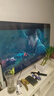 Vidda 海信电视65英寸 R65  一级能效 144Hz高刷 2+32G 以旧换新家电国家补贴液晶游戏电视机65V1Q-R 实拍图