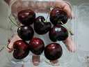 京喜加【推荐品】智利进口车厘子爆甜多汁大樱桃生鲜水果礼盒包装随机 100克(净重) 尝鲜装-非礼盒 巨无霸3J 单果30-32mm 实拍图