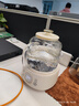 小熊（Bear）全玻璃养生壶 纯玻璃多功能恒温烧水壶 办公室轻音炖煮茶壶 1L YSH-J10D1 实拍图