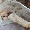 1号会员店 鸭翅中组合1.1kg （单冻鸭翅中2斤+老卤汁100g）卤鸭翅烧烤食材 实拍图