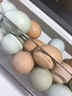 楚逸禾  散养五彩土鸡蛋虫草蛋当日新鲜鸡蛋破损包赔 【五彩土鸡蛋40枚】 【生态林下养殖】 实拍图