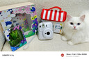 INSTAX富士instax立拍立得 一次成像相机 mini12（mini11升级款）茉莉白 实拍图