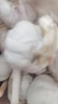 食尚半岛山东金乡鱼台大蒜农家自种干蒜新鲜蔬菜紫皮批发多瓣祘头当季 【中果】精品大蒜2斤 实拍图