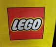 乐高（LEGO）积木31168 中世纪骑士城堡男女孩儿童玩具生日新年情人节礼物装饰 实拍图