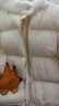 巴拉巴拉童装儿童羽绒服宝宝男女童2025冬装新款婴儿外套保暖上衣泡芙羽绒 奶白小松鼠10501-白鸭绒 100 （充绒量81g 适合2-3岁） 实拍图