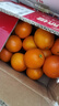 土八鲜赣南脐橙江西橙子赣州脐橙新鲜水果应季水果礼盒 奋斗橙净重4.5-5斤【果径60-69mm】 实拍图
