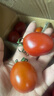 千禧圣女果新鲜小番茄樱桃小柿子孕妇水果现摘现发新鲜蔬菜 新鲜圣女果 5斤 带箱 实拍图