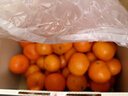 京鲜生 正宗广西砂糖橘礼盒  净重8斤 单果40-55mm年货礼盒源头直发包邮 实拍图