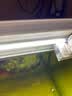 亦夏防水led硬灯条220V冷藏冰柜冰箱灯带鱼缸点菜柜保鲜柜展示柜灯管 220V超亮新款防水灯条长80厘米 8w 其它 白 实拍图