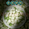 福茗源 茶叶花草茶 茉莉花苞 横县三伏晴天茉莉花茶花蕾养生花茶100g/袋 实拍图