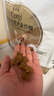 皇家柯基狗粮 成犬粮3KG &唐老鸭限定礼盒【柯基成犬狗粮】 实拍图