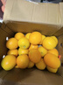 集南鲜 赣南脐橙 江西橙子新鲜现摘水果脐橙时令生鲜水果甜橙 水果礼盒 净重9斤 甄选橙 单果70-80mm 实拍图