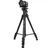 云腾（YUNTENG） VT-9009 微电影级专业2米大型三脚架云台套装微单数码单反相机摄像机手机用铝合金三角架 实拍图