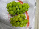 京鲜生 阳光玫瑰葡萄/青提2-2.5斤装 单果约10g 生鲜水果 实拍图