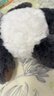 babycare熊猫安抚玩偶睡眠手偶阿贝贝婴儿宝宝睡觉毛绒玩具新生儿见面礼盒 实拍图
