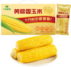 十月稻田 黄糯香玉米 8根 3.52斤  早餐粗粮 新年礼盒 低脂杂粮 东北 实拍图