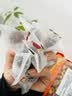 参庆堂水晶蜜枣1000g无核枣煮粥煲汤去核红枣 蜜饯果干脯 实拍图