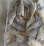 卖鱼七郎 冷冻海捕小黄鱼3.2斤黄花鱼深海鱼生鲜鱼类烧烤食材 实拍图