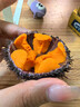 小平岛（xiaopingdao）黄海胆1斤大连海胆马粪海胆新鲜生鲜水产刺身日料蒸蛋即食 黄海胆500g（5个左右） 实拍图