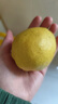 京鲜生 新疆库尔勒香梨 净重10斤 一级 单果100-120g 生鲜水果 实拍图