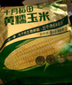 十月稻田 黑糯玉米 3.52斤(220g*8根) 东北玉米 杂粮粗粮 低脂早餐 实拍图