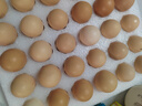 京鲜生【供港品质】【每日鲜蛋】无抗谷物鸡蛋30枚3.78斤当日产蛋当日发 实拍图