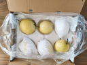 京鲜生 河北雪花梨 冰糖雪梨 净重5斤 单果300g+ 生鲜水果礼盒 实拍图