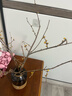 花翁鲜切花干枝年宵花卉水培植物 精选A级腊梅枝60cm5枝源头直发 实拍图