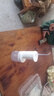 小米米家电动冲牙器2情人节礼物成人男女情侣超声波洗牙器牙齿冲洗器便携实用长续航牙齿清洁器 实拍图