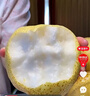 京地达梨砀山酥梨雪梨香梨子水果送礼净重4.8斤单果250g+源头直发 实拍图