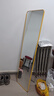 镜子全身镜家用落地试衣镜壁挂卧室贴墙穿衣镜网红ins立体落地镜 40*150耀日金-壁挂落地两用 实拍图