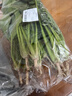 大菠菜300g 实拍图