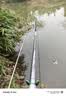 达亿瓦（DAIWA） DAIWA 21天岭 SS Q轻量鲫鱼竿振出式钓鱼竿手竿高碳轻量钓竿长尺 硬调61 实拍图