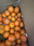 京地达广东砂糖橘新鲜水果净重5斤中小果35-45mm源头直发包邮 实拍图